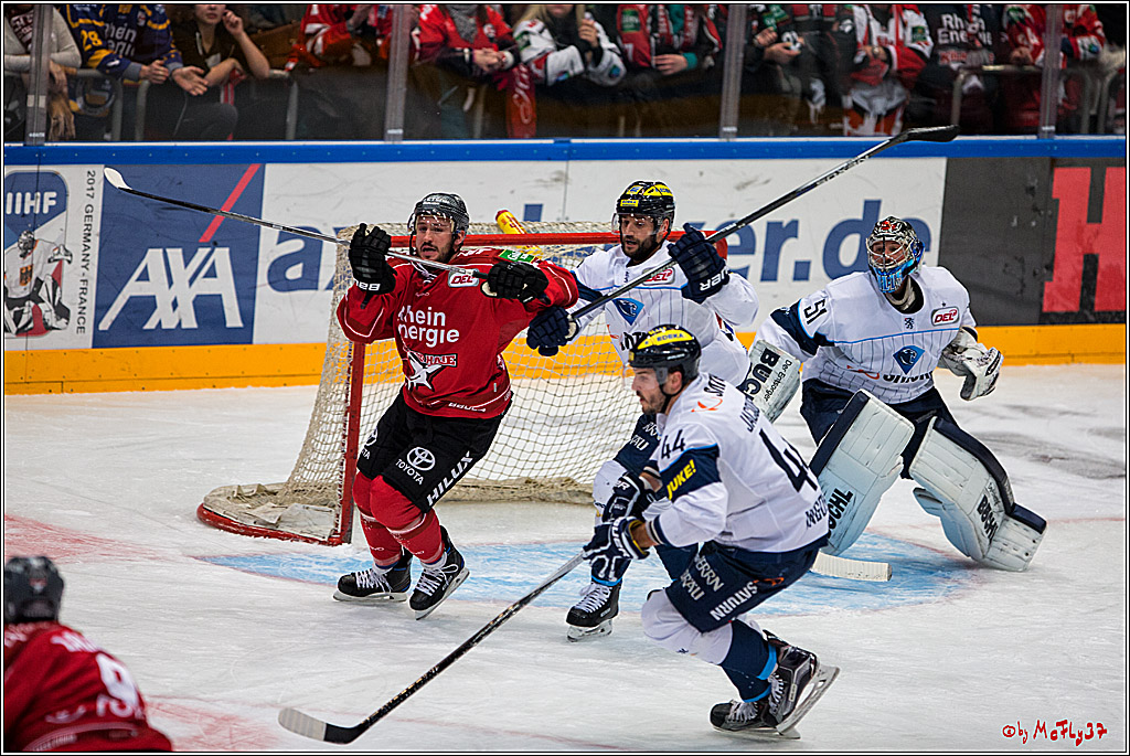 DEL, Koelner Haie - ERC Ingolstadt, 20.01.2017